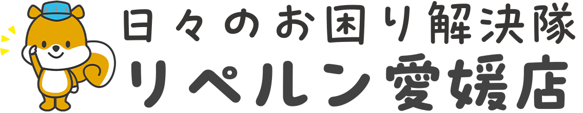 リペルン愛媛店 日々のお困り解決隊